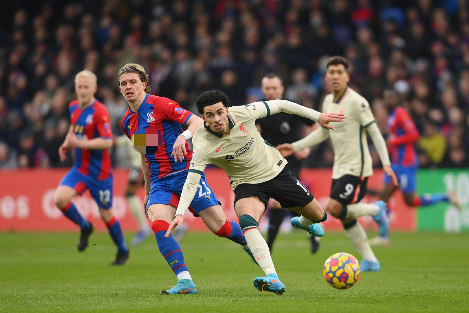 从新电影的 从新电影的